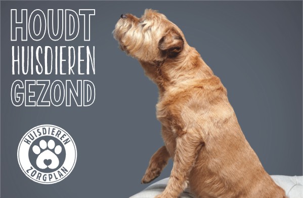 Houdt huisdieren gezond 1